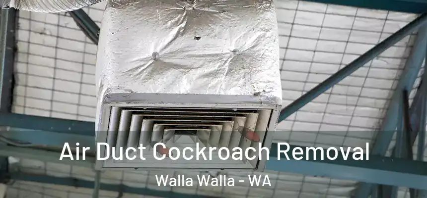 Air Duct Cockroach Removal Walla Walla - WA