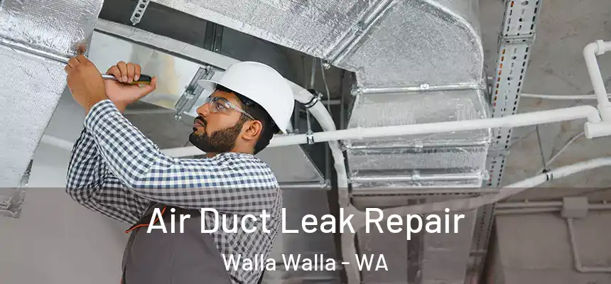  Air Duct Leak Repair Walla Walla - WA