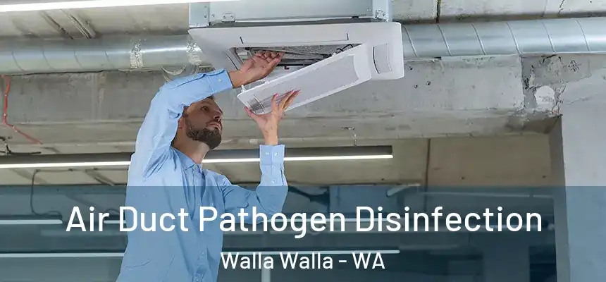  Air Duct Pathogen Disinfection Walla Walla - WA