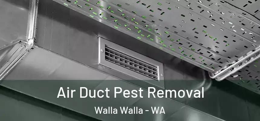  Air Duct Pest Removal Walla Walla - WA