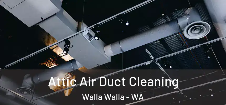  Attic Air Duct Cleaning Walla Walla - WA