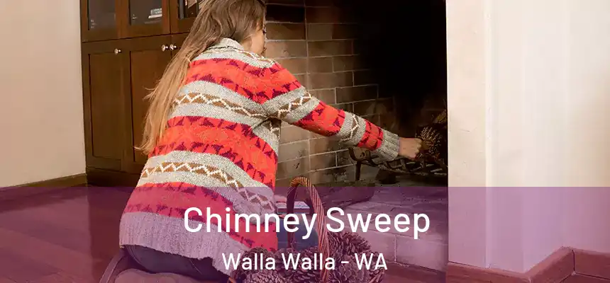 Chimney Sweep Walla Walla - WA