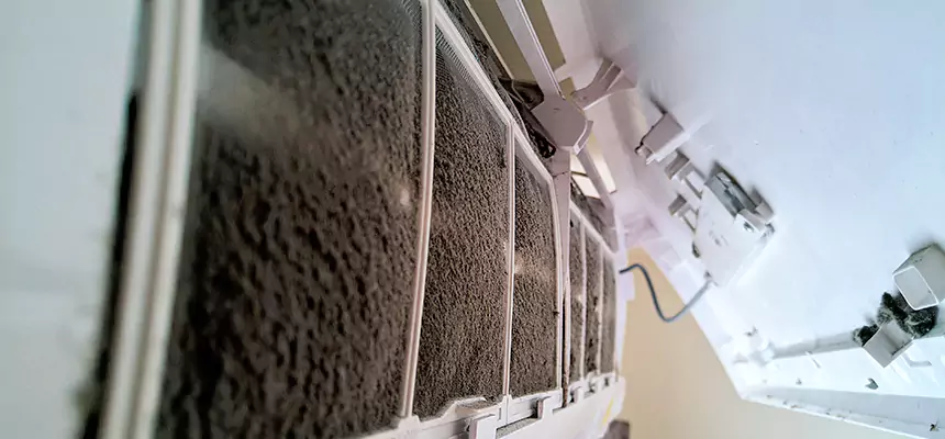 Preventive Air Duct Bacteria Removal in Walla Walla