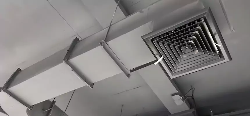 Restorative Allergy Relief Vent Cleaning – Coil, Blower & Housing Detail in Walla Walla