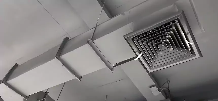 Our Pest Removal From Ducts Services in Walla Walla, WA