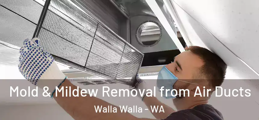  Mold & Mildew Removal from Air Ducts Walla Walla - WA
