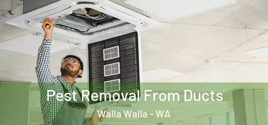  Pest Removal From Ducts Walla Walla - WA
