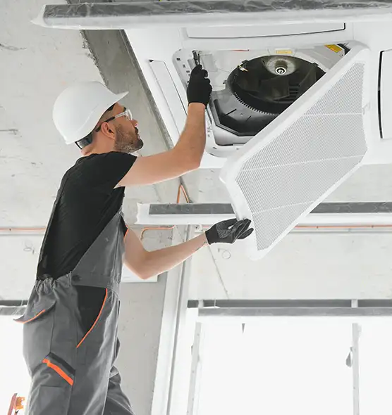 About Air Duct Rodent Removal in Walla Walla, WA