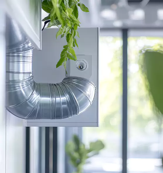 Professional Eco-Safe Dryer Vent Cleaning in Walla Walla, WA