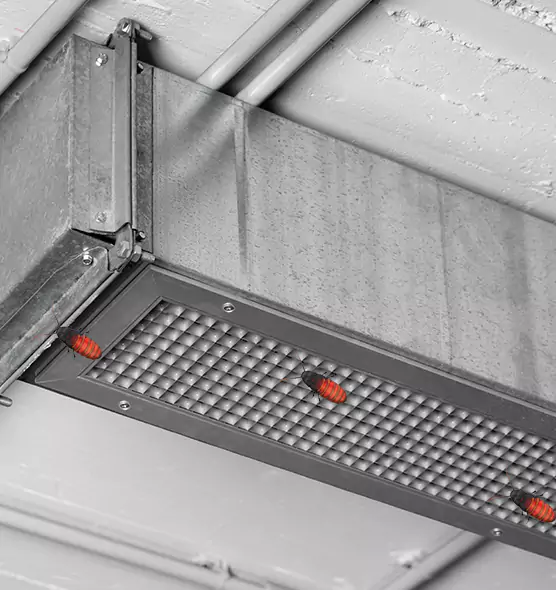 Affordable Insect Removal from Air Ducts in Walla Walla, WA