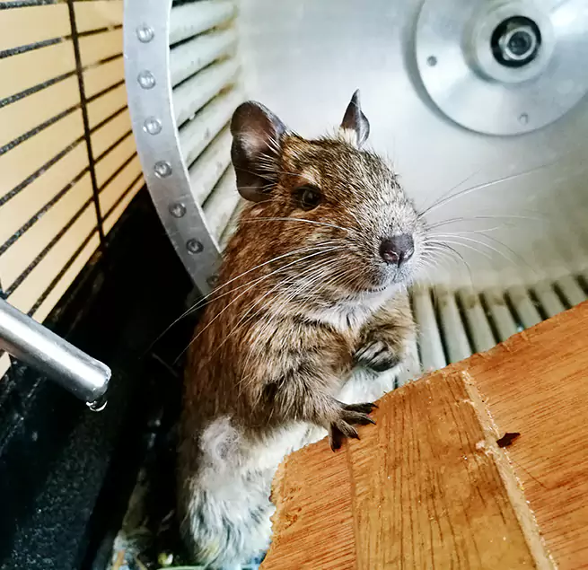 Why Homeowners & Businesses Trust Us Walla Walla, WA?